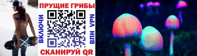 Псилоцибиновые грибы Psilocybe Рыльск